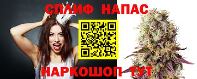 сатива Абакан