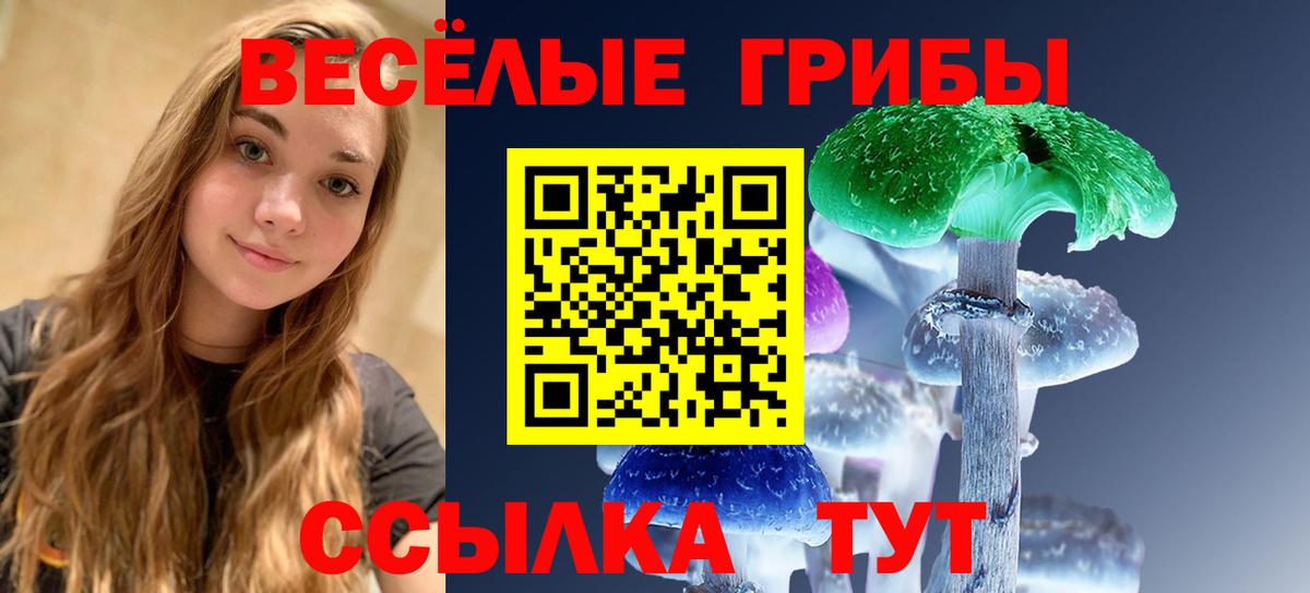 Псилоцибиновые грибы прущие грибы  Геленджик  Галлюциногенные грибы Magic Shrooms 